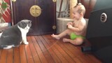 Funny Babies Laughing Hysterically at Cats Compilation (2017)