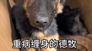 To me, it's just a few meager coins, but to it, it's the countdown to life. Everything in this world