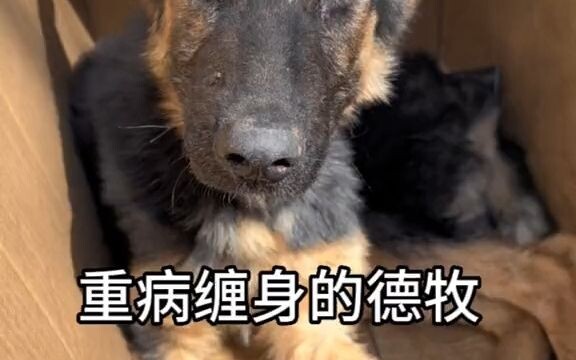 To me, it's just a few meager coins, but to it, it's the countdown to life. Everything in this world