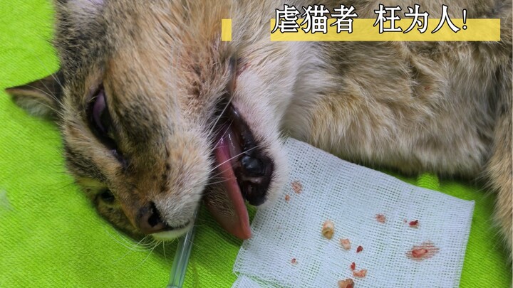 Thì ra răng của chị Miệng thực sự bị kẻ xấu đập gãy mất!