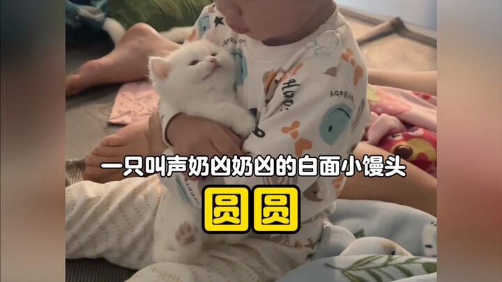 หมั่นโถวหน้าขาวน่ารักขี้กลัวตัวหนึ่ง ขนาดจมูกเล็กๆ แต่เสียงร้องดังราวกับสัญญาณเตือนภัยทางอากาศ!