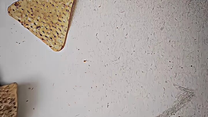 จริงเกินไป