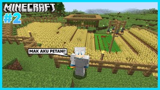 YAY! Akhirnya Aku Punya Ladang Besar Dan Kandang Pupet - Minecraft Survival #2