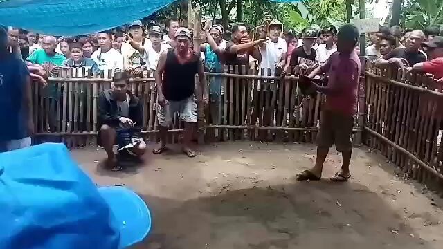 kardinal kelso hatch