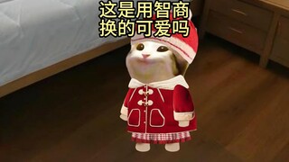 这是用智商换的可爱吗