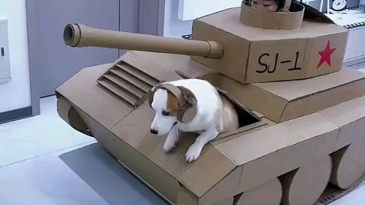 观察员自带回收炮弹功能