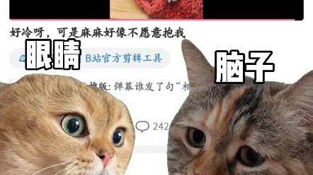 When you notice that Guangdang has posted a new video~