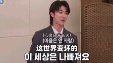 【seventeen】次人:我就不信这俩中国人不讲话