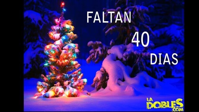 Doble SS Conteo 40 Dias para Diciembre