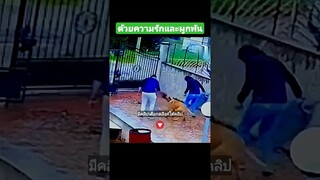 ด้วยความรักและผูกพัน