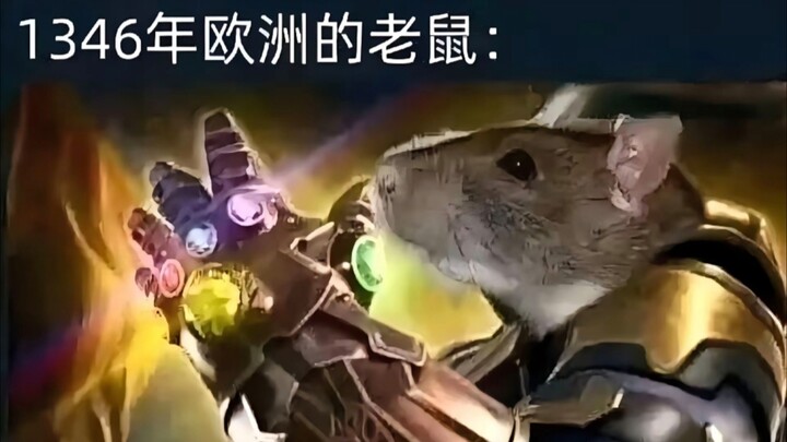 Rats in Europe, 1346: