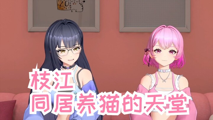“枝江，同居养猫的天堂”心宜你到底在说什么啊！