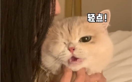 عندما تظاهرت بأنني أكلت أذن قطتي