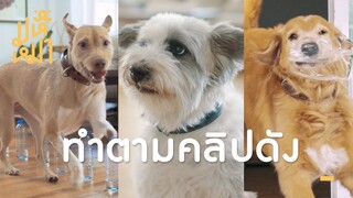 เมื่อเราทำตามคลิปดัง - มหึหมา EP35