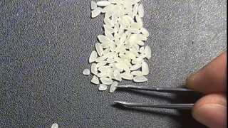 My household rice is spinning around like Jang Won-young!