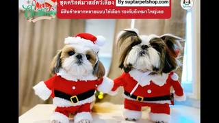 ชุดคริสต์มาสสุนัข ซานตาคลอสหมา Christmas เสื้อหมา เสื้อแมว ซานต้าหมา ซานต้าแมว by suptarpetshop