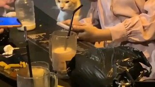 Terlihat Jelas Siapa Yang Bayarrin.....
