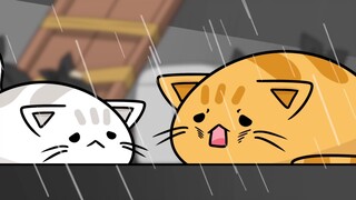 Quá khứ của mèo!