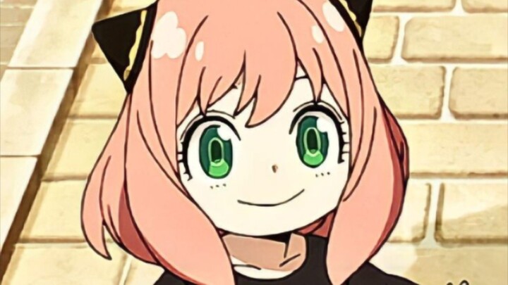 bocil op sedunia #spyxfamily