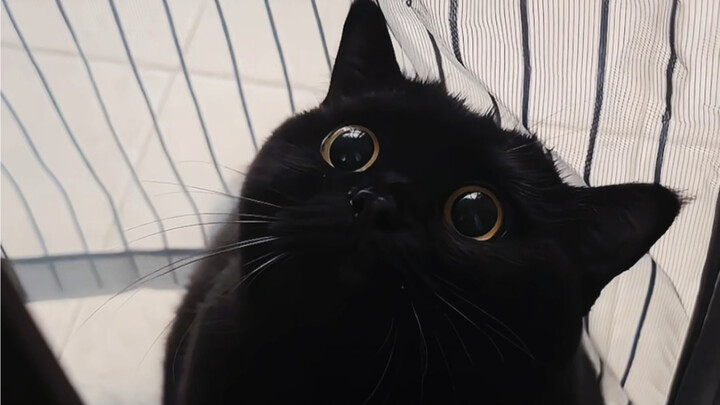 قليلاً قليلاً قليلاً! ممنوع اللمس!