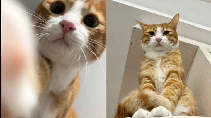 We've lived together for two years and he doesn't work, so I support him.