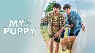 My Puppy (Tagalog) | Korean Movies