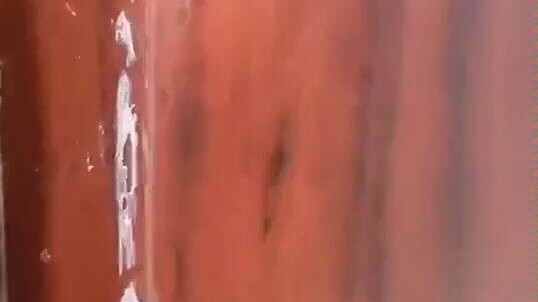 Damn, the chicken from fairy tales