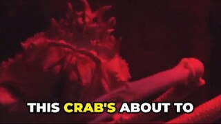 Can You Believe Spider Crabs Have 12-Foot Legs and Live Up to 100 Years?