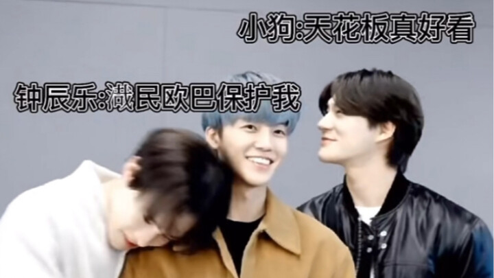 Tháp xếp hình sợ sệt vì quên mang nhẫn tình bạn | Ba con rúc vào nhau như chim non nép mình, ha ha, 