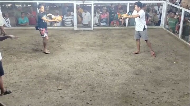 kanan tari win  alimbuyogin