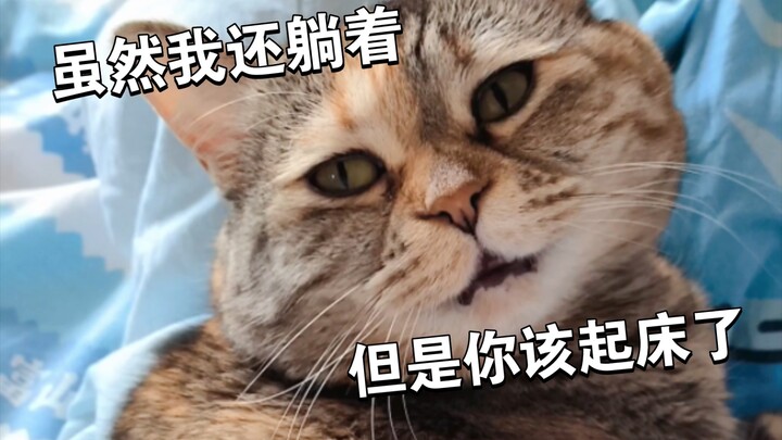 Cat: I’m still lying down, but it’s time for you to get up.