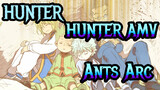 HUNTER×HUNTER AMV / Ants Arc