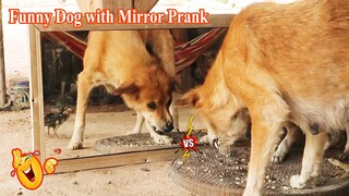 Funny Dog with Mirror Prank - Hilarious Reaction (Try to Stop Laugh 2021)