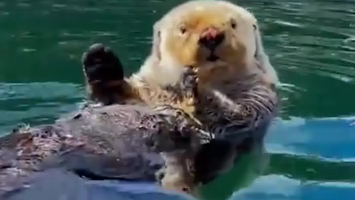 How are you still in the living room?