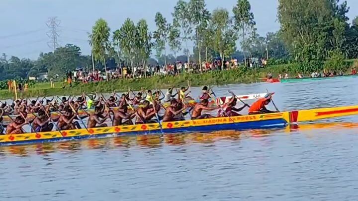নৌকা বাইচ