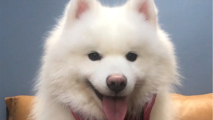 Some people actually say we’re ugly—seriously, I have no idea what they’re looking at.