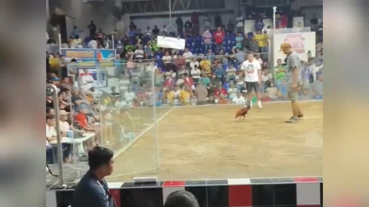 Firebird Angels vs. Mt. Antogop