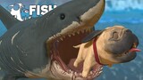 (อัพเดท) ปลาฉลามขาวกินเนื้อใหม่ กับ การตกใจตา...สุดอนาถ? | Fish Feed and Grow #109