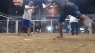 Mamaw talaga si puti🐓