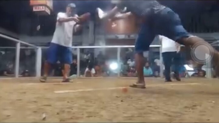 Mamaw talaga si puti🐓