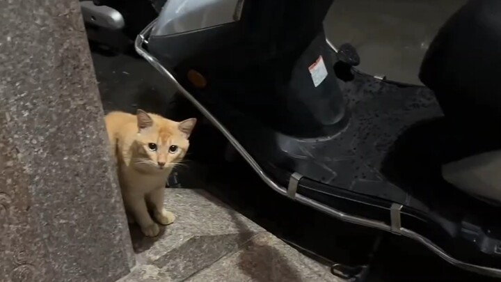 Manusia, di dunia Mi selalu hujan, Mi pun tak bisa mengatasinya dengan baik