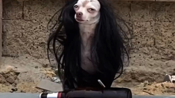 We All Deserve Attention