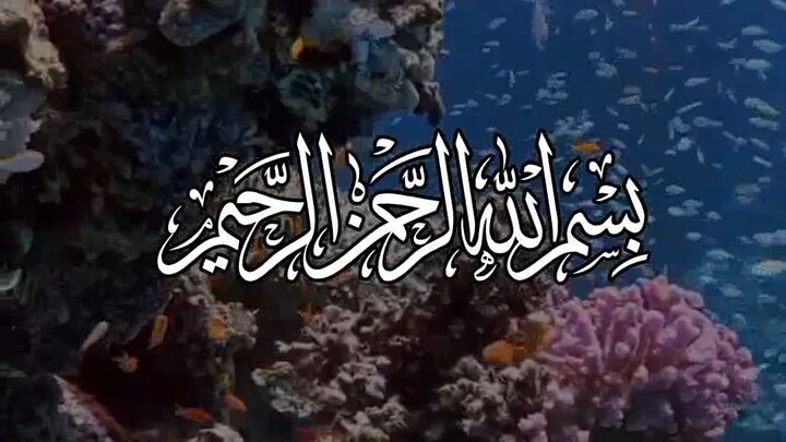 🥰 SURAH Al QURAISH 🥰|Beautiful Quran Reaction #shorts#explore#tilawat#quran