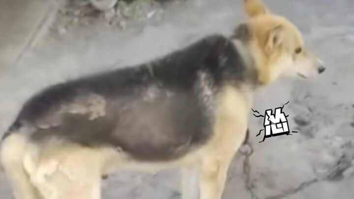 ถ้าเป็นฉัน ฉันก็กลัวเหมือนกัน