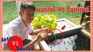 บ่อปลาทองประหยัดพลังงาน แอร์ลิฟท์vsโซล่าเซล l คุณพ่อคราฟ