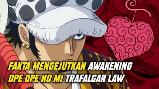 4 FAKTA MENGEJUTKAN BUAH IBLIS TRAFALGAR LAW !