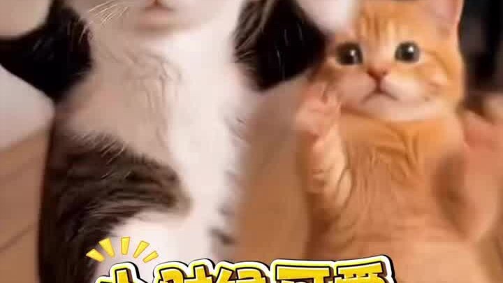 As a kid, it was so ugly I wanted to return it; now it’s so handsome I just want to cuddle it! Never