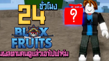 24ชั่วโมง ในBlox Fruits สุ่มผลตามคนดูได้ผลไหนเอาผลนั้นฟาร์มตั้งแต่เวล1