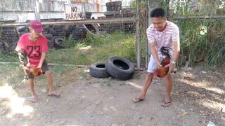 praktis Muna nokis vs mang dong