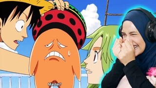 LUFFY DOESN'T UNDERSTAND MERMAID 🔴 One Piece Reaction